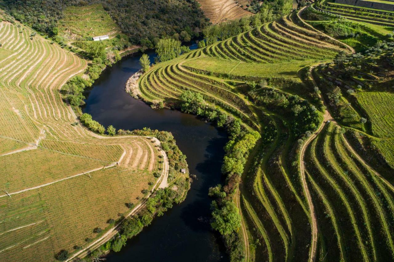 Vila Gale Douro Vineyards Armamar Exterior foto